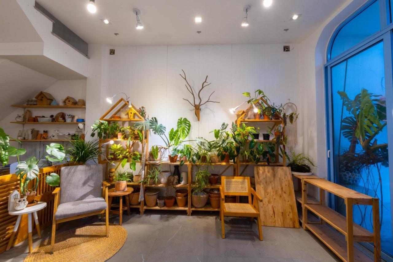 Nest House Homestay Дананг Екстериор снимка